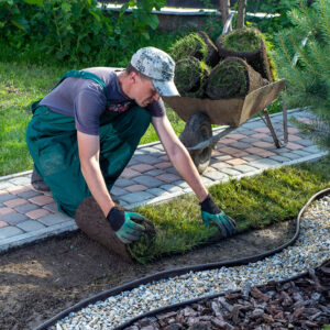 Landscaping Services – Types, Benefits, and Tips to Consider